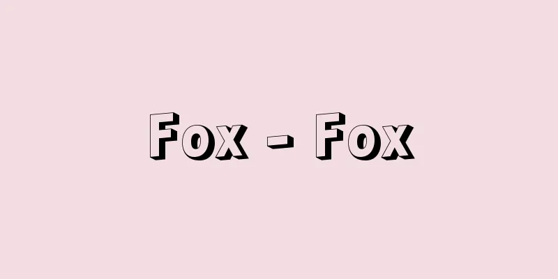 Fox - Fox