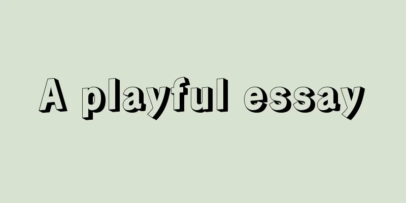 A playful essay