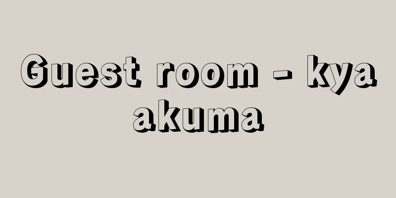Guest room - kyaakuma