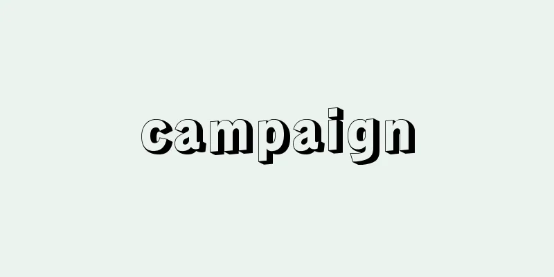campaign