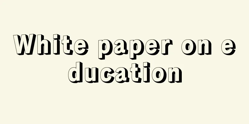 White paper on education