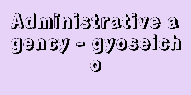 Administrative agency - gyoseicho