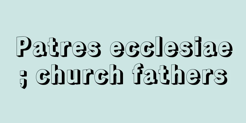Patres ecclesiae; church fathers