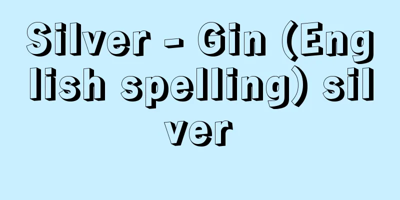 Silver - Gin (English spelling) silver