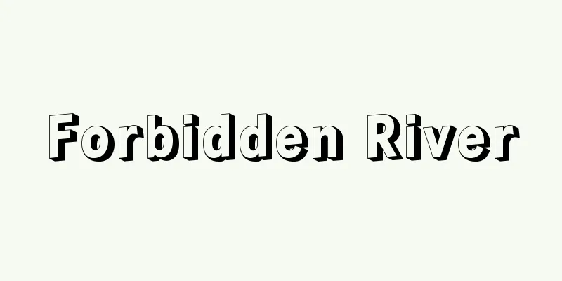 Forbidden River