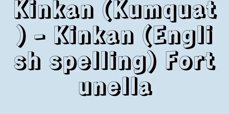 Kinkan (Kumquat) - Kinkan (English spelling) Fortunella