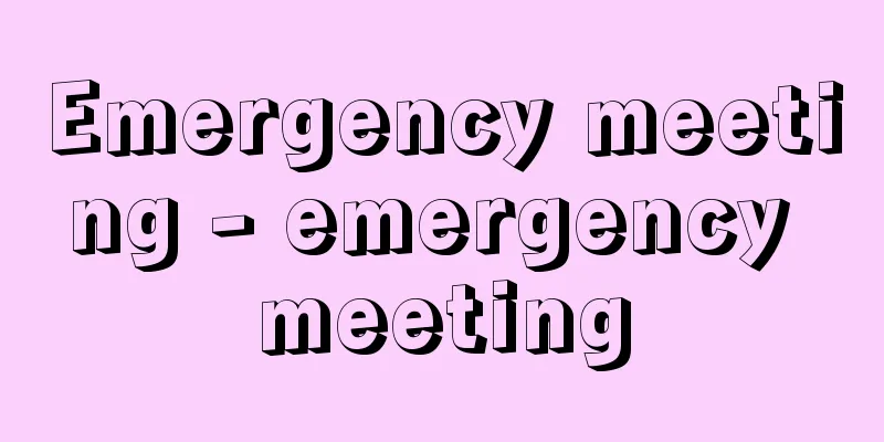 Emergency meeting - emergency meeting