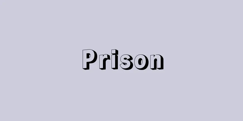 Prison