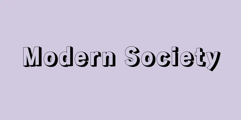 Modern Society