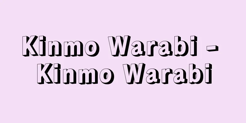 Kinmo Warabi - Kinmo Warabi