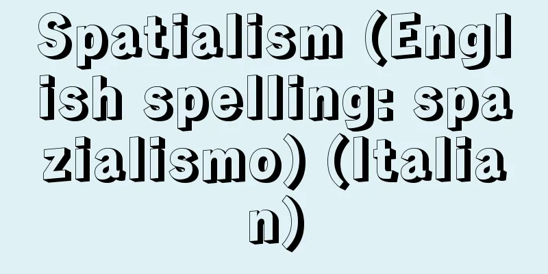 Spatialism (English spelling: spazialismo) (Italian)