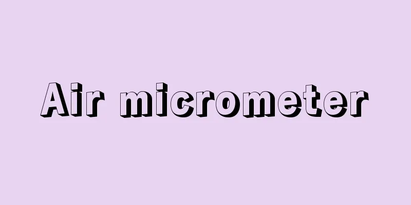Air micrometer