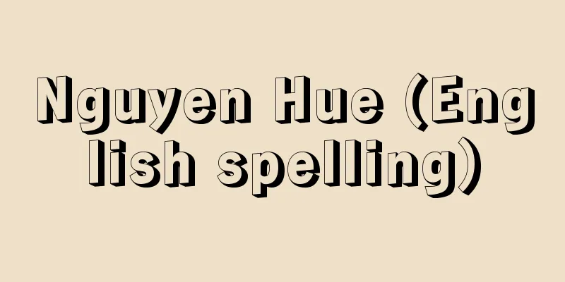Nguyen Hue (English spelling)