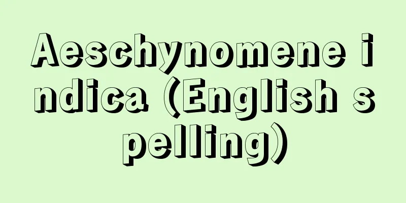 Aeschynomene indica (English spelling)
