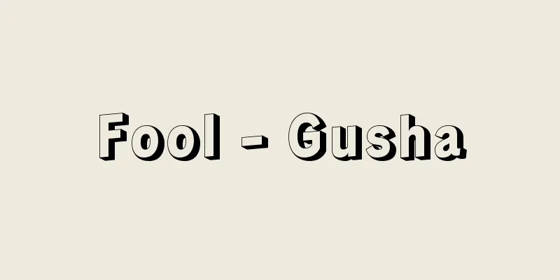 Fool - Gusha