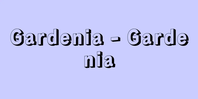Gardenia - Gardenia