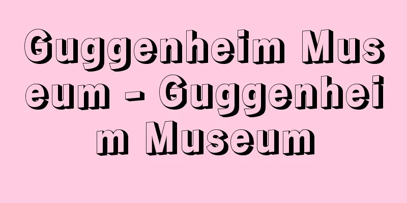 Guggenheim Museum - Guggenheim Museum