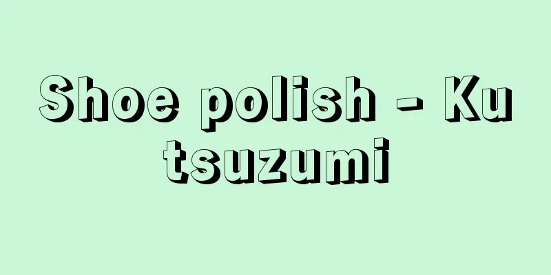 Shoe polish - Kutsuzumi