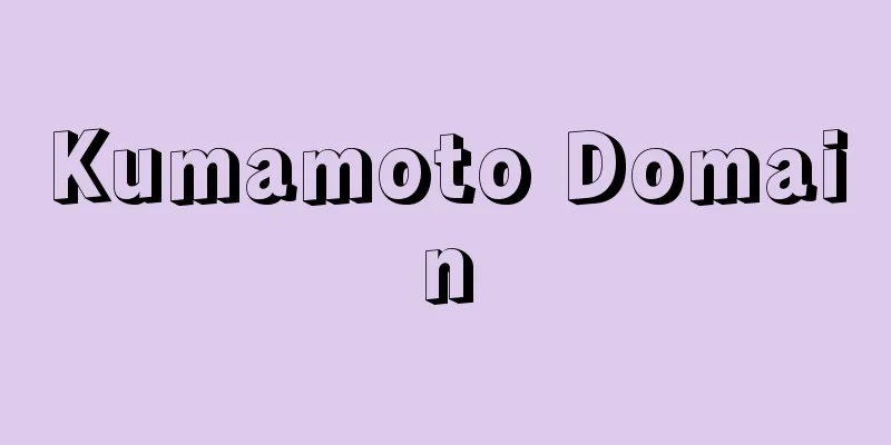 Kumamoto Domain