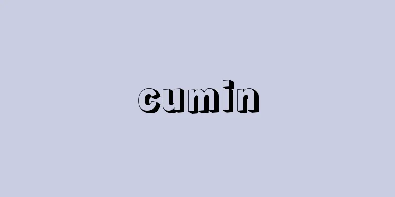 cumin