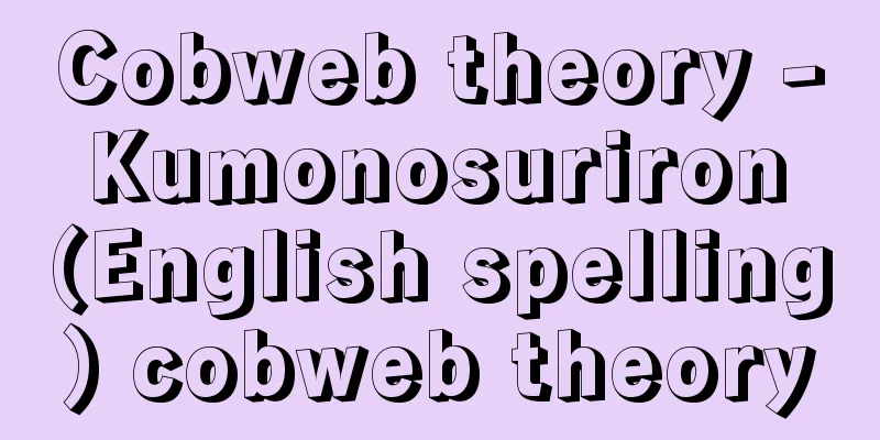 Cobweb theory - Kumonosuriron (English spelling) cobweb theory