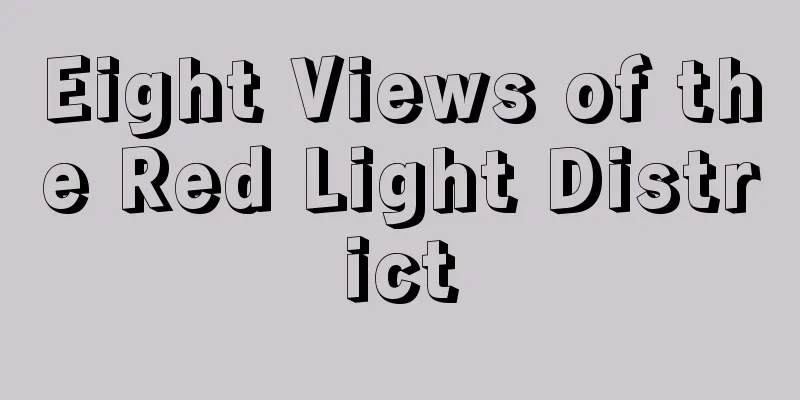 Eight Views of the Red Light District