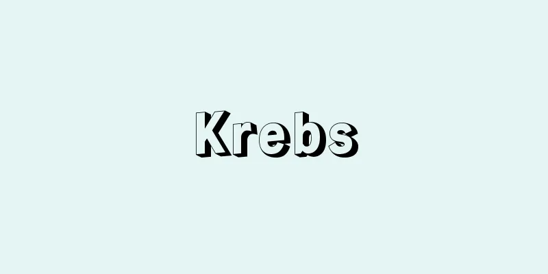Krebs