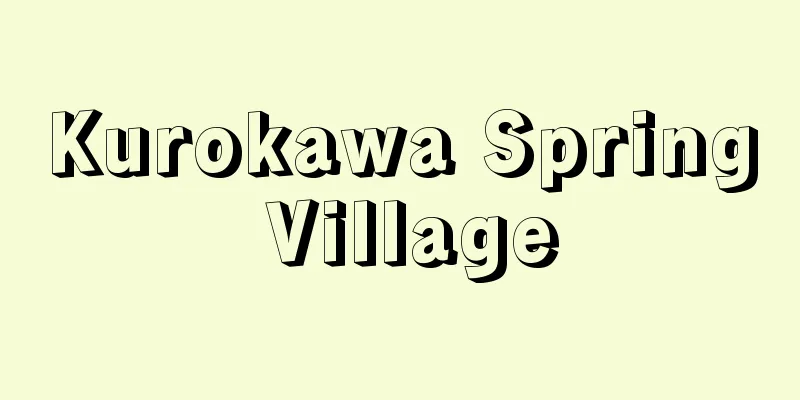 Kurokawa Spring Village