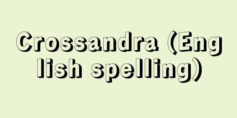 Crossandra (English spelling)