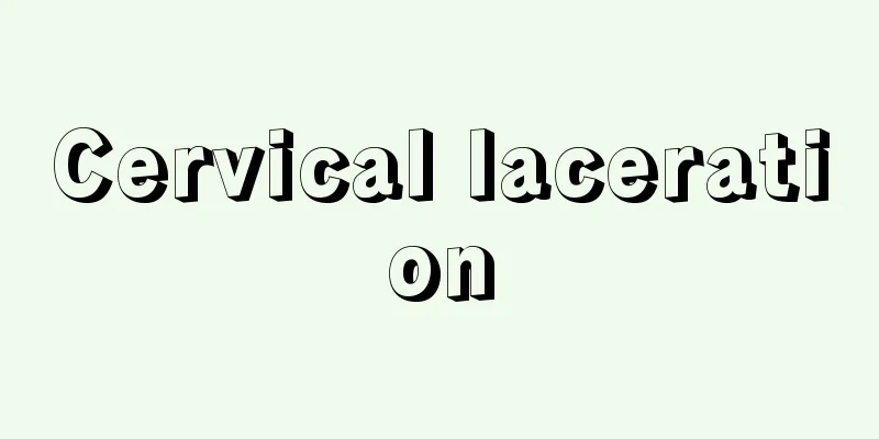 Cervical laceration