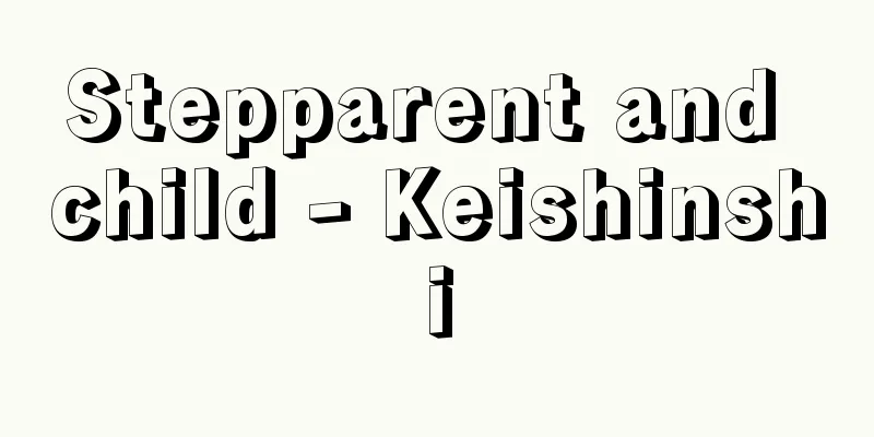 Stepparent and child - Keishinshi