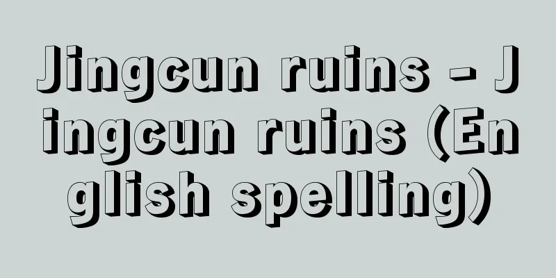 Jingcun ruins - Jingcun ruins (English spelling)