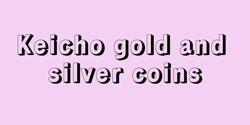 Keicho gold and silver coins