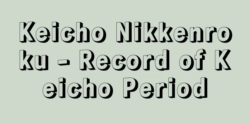 Keicho Nikkenroku - Record of Keicho Period