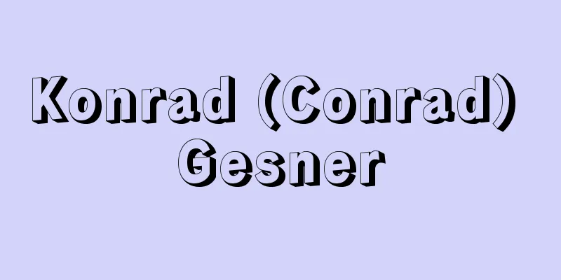 Konrad (Conrad) Gesner