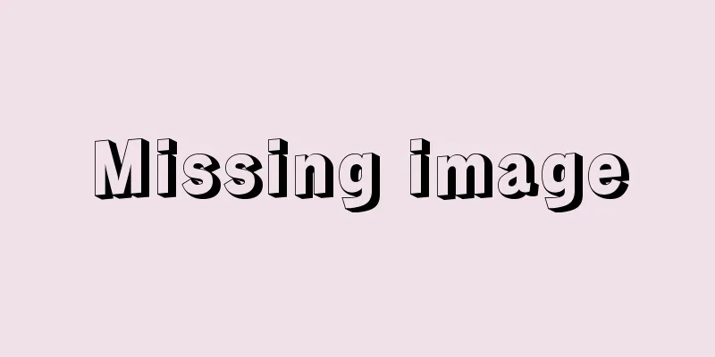 Missing image