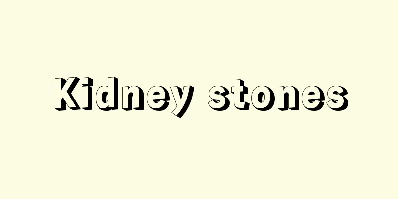 Kidney stones