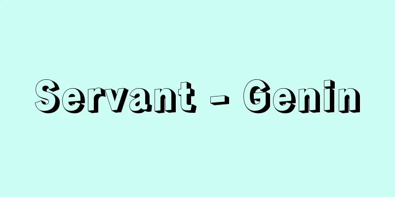 Servant - Genin