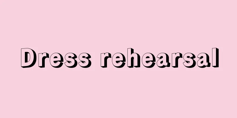 Dress rehearsal