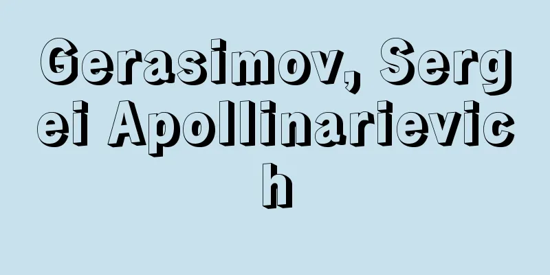 Gerasimov, Sergei Apollinarievich