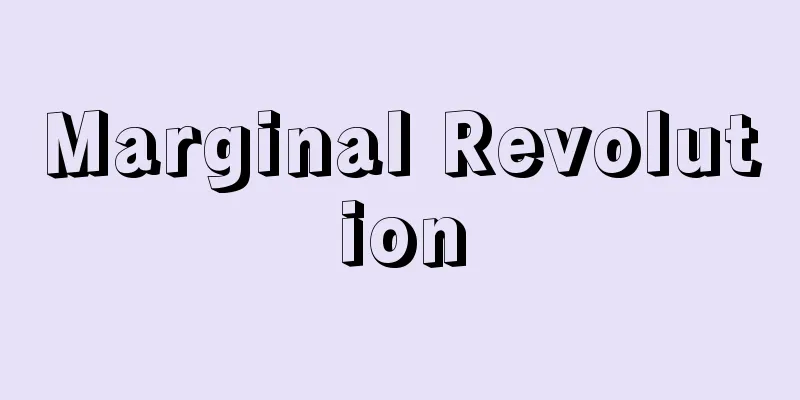 Marginal Revolution