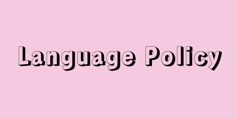 Language Policy