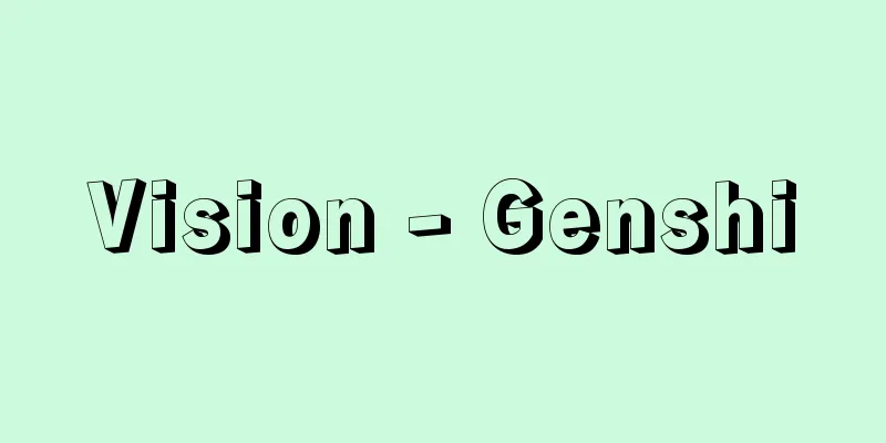 Vision - Genshi