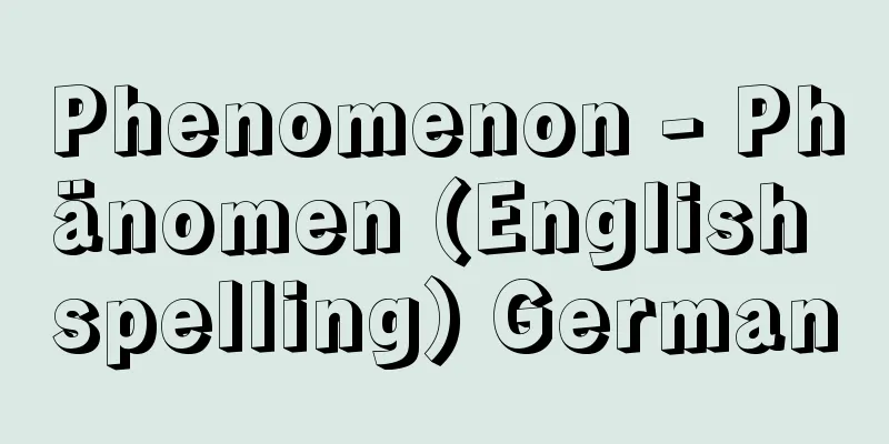 Phenomenon - Phänomen (English spelling) German