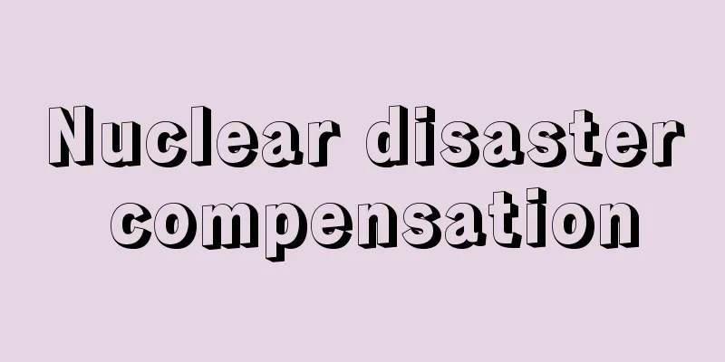 Nuclear disaster compensation