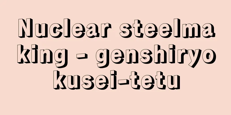 Nuclear steelmaking - genshiryokusei-tetu