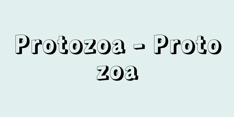 Protozoa - Protozoa