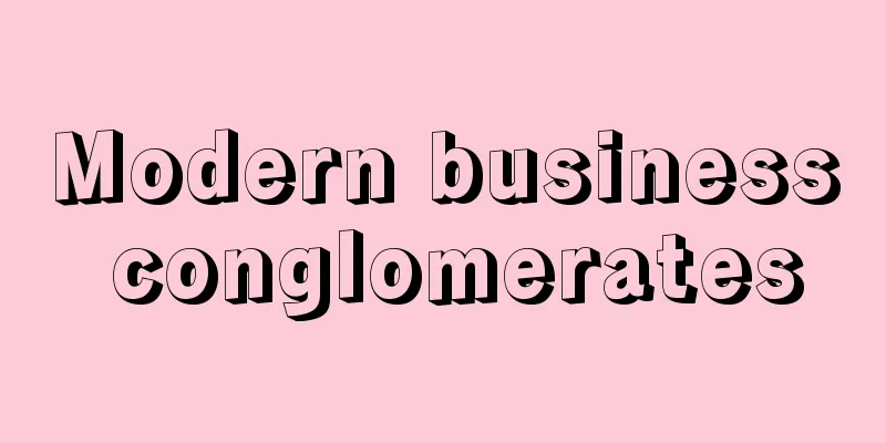 Modern business conglomerates