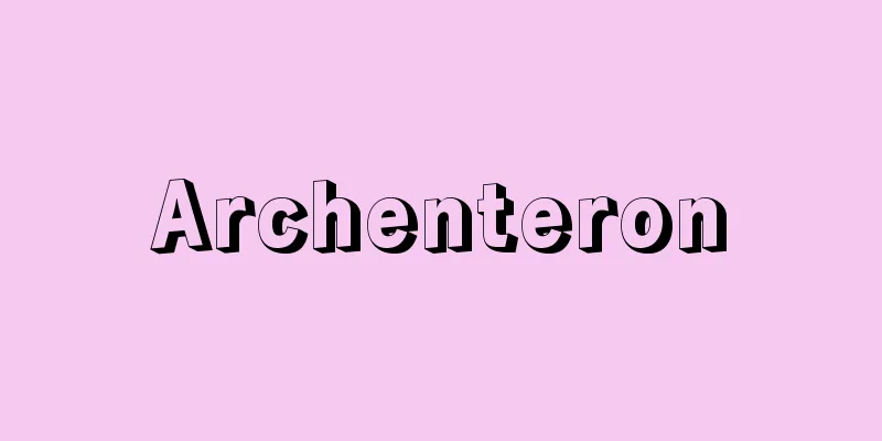 Archenteron