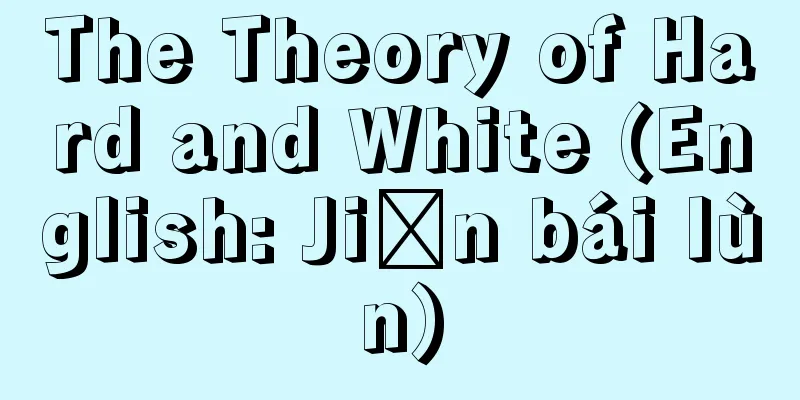 The Theory of Hard and White (English: Jiān bái lùn)